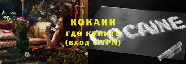МДПВ Нея