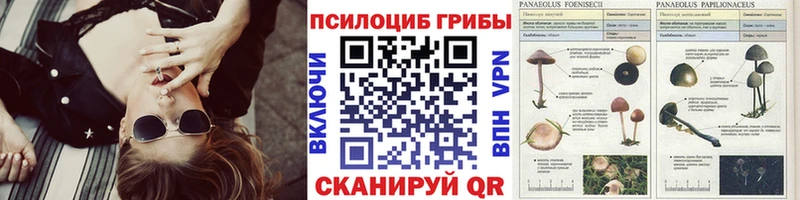 Купить  Теберда  Галлюциногенные грибы мицелий 